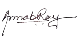 Arnab Ray | Managing Director